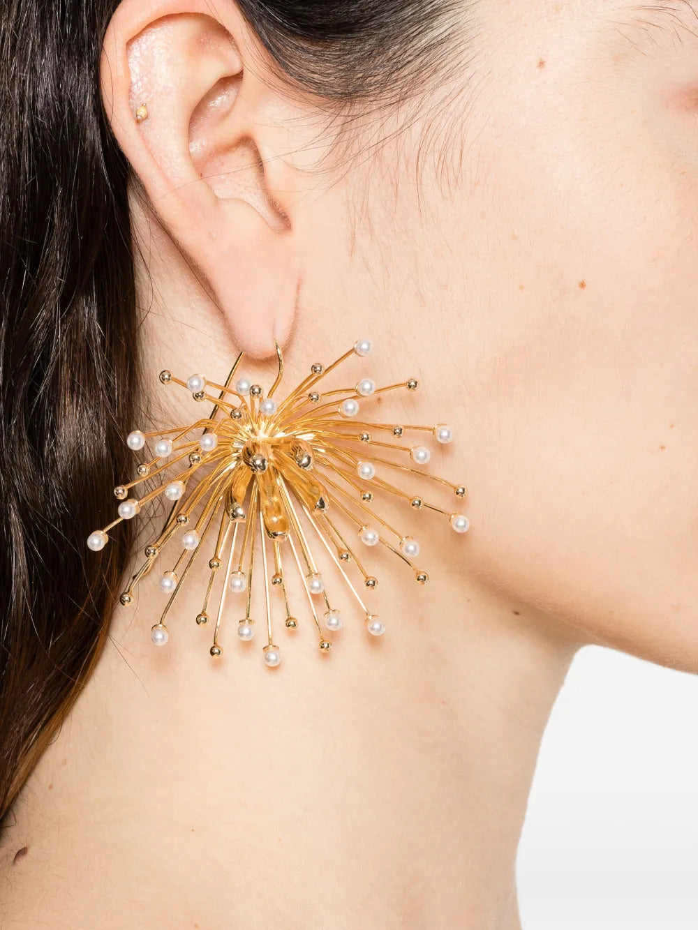 Damita embellished earrings